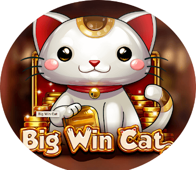 Big Win cat